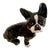 1938 Iron Boston Terrier Dog / French Bulldog Metal Statue Doorstop For Sale