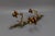Hollywood Regency Gilt Tole Metal Triple-Arm Floral Wall Candle Sconce, 1970s For Sale - Image 17 of 18