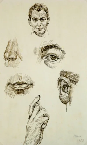 Drawing of Facial Details