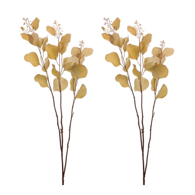 Rustic Seeded Eucalyptus Stem (Set of 2) For Sale - Image 3 of 3