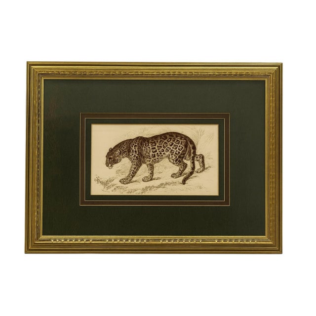 19th-C. Victorian Sir William Jardine’s the Naturalist Colored Engraving Jaguar by James Stewart For Sale In Atlanta - Image 6 of 6