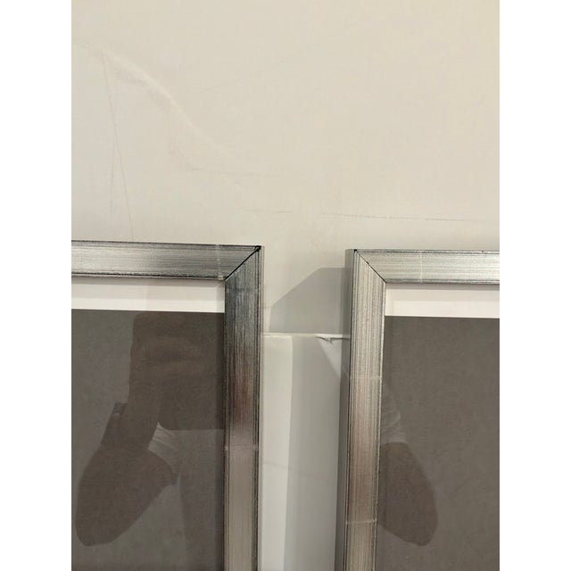Soicher Marin Nautilus Set of 3 For Sale - Image 11 of 14
