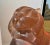 Contemporary Mid 20th Century "Tiger" Cast Glass Sculpture For Sale - Image 3 of 5