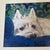 Contemporary original westie dog print by Judy Henn. Measures 14x11 or 15x12 framed. Check out my shop Robins Egg Gallery...