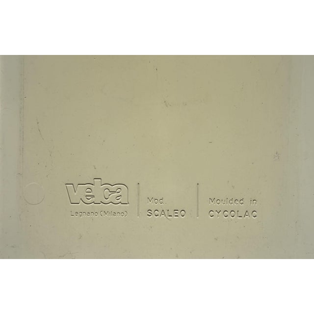Scaleo Ladder by Roberto Lucci and Paolo Orlandini for Velca, Italy, 1974 For Sale - Image 4 of 11