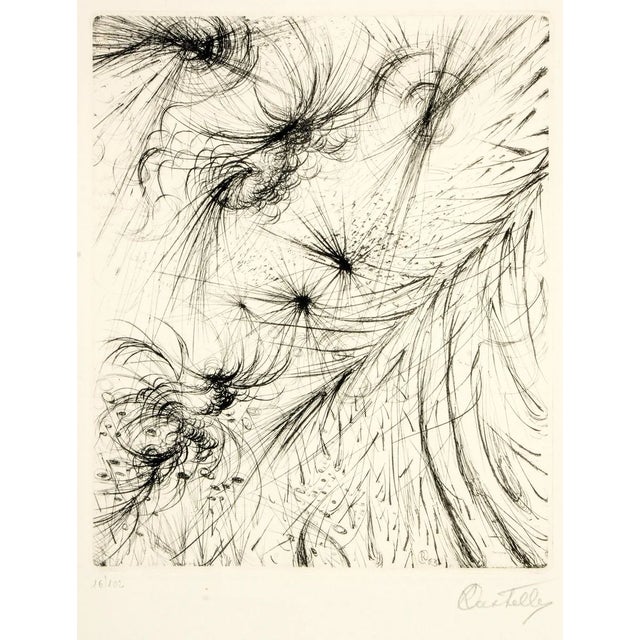 Cosmic Garden - Etching and Drypoint by R. Castello - 1964 1964 For Sale