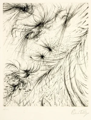 Cosmic Garden - Etching and Drypoint by R. Castello - 1964 1964