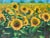 70's Vintage Galit Sunflowers Field Landscape Painting For Sale - Image 9 of 13