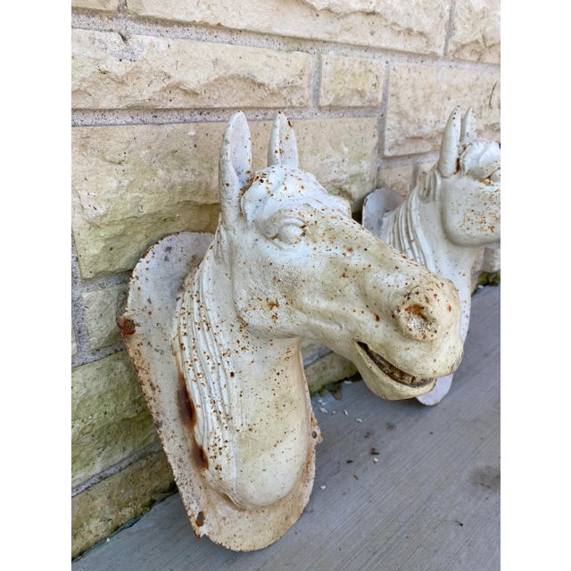 Antique Cast Iron Horse Head Bust For Sale - Image 9 of 13