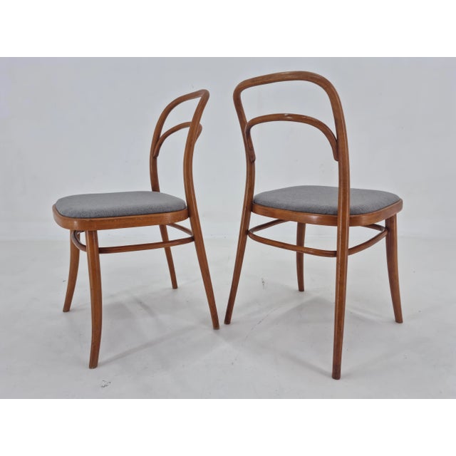 Brown Set of Bentwood Chairs by Antonín Šuman, 1960s For Sale - Image 8 of 12