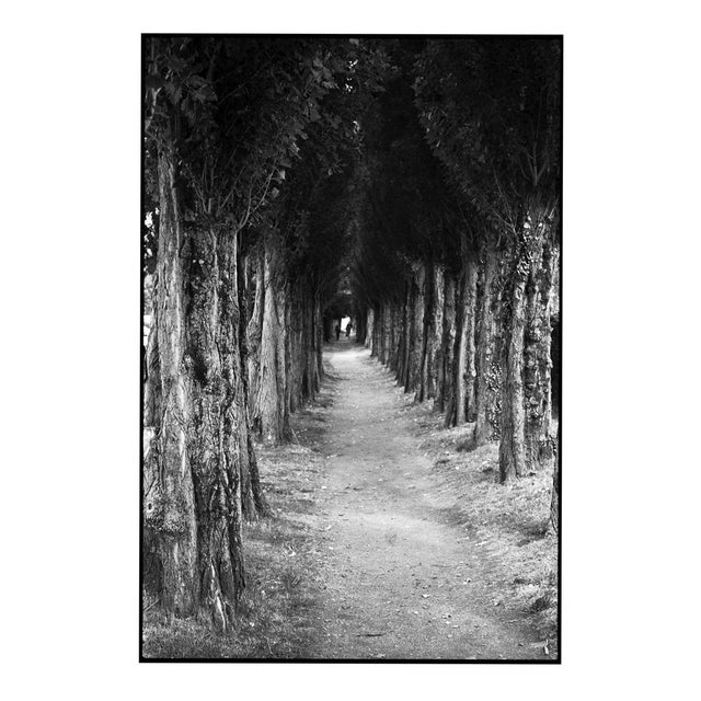 Paul Cooklin, Treeline, Honfleur, France, Edition of 50 For Sale