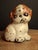 American Scarce Antique Hubley Cast Iron Puppo Doorstop Brown Color Variant Grace Drayton 1920s #75 For Sale - Image 3 of 17