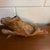 Wood Mid-Century Modern Abstract Root Wood Sculpture For Sale - Image 7 of 7