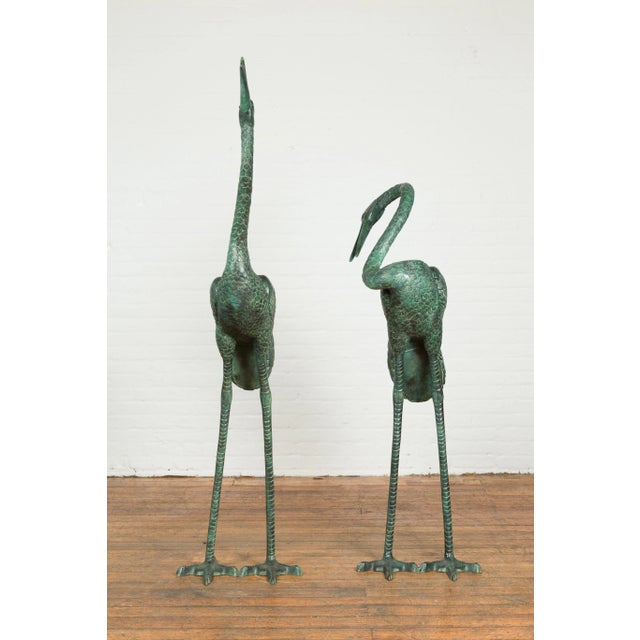 Early 21st Century Contemporary Verdigris Bronze Crane Sculptures Tubed as Fountains - A Pair For Sale - Image 5 of 12
