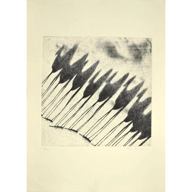 Shadow of Camels is original etching realized by Tullio Diamanti in 1980s. Hand signed and numbered in pencil on the...