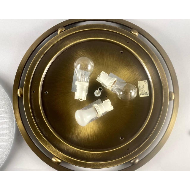 Large Vintage Ceiling Flush Mount by Fisher Leuchten, Germany For Sale - Image 9 of 10