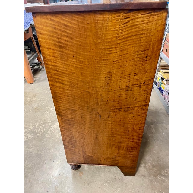 American Antique Curly Maple Chest of Drawers, Late Federal Early Empire Period For Sale - Image 3 of 16