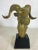 This is a mid century vintage solid brass bust of a Ramshead. This large Ramshead is hand chased and stands on a black...