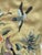 Pair of Mid 20th Century Framed Chinese Silk Embroidered Panels For Sale In Jacksonville, FL - Image 6 of 8