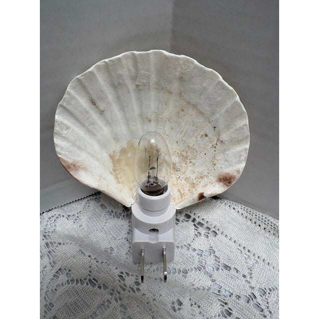 Children's Natural Adorned Seashell Night Life With Natural Shells, Pearl, Sea Glass and Starfish Accents For Sale - Image 3 of 8