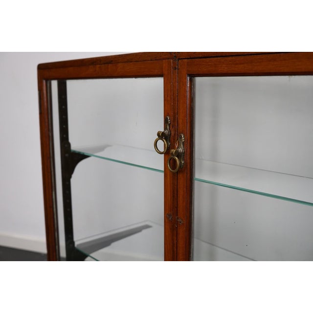 Victorian Mahogany Shop Display Cabinet Counter or Vitrine, Late 19th Century For Sale - Image 4 of 16