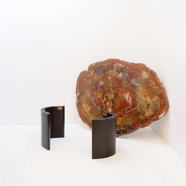 Red Arizona Petrified Wood Coffee Table For Sale - Image 5 of 16