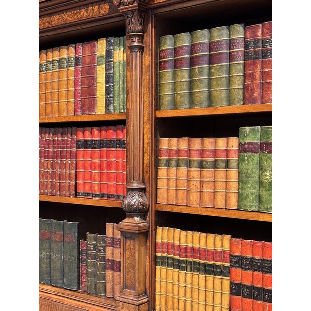 Antique William IV Burr Walnut Bookcase, 1840 For Sale - Image 15 of 16