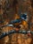 Break From Flight by Morgan Cameron | Oil on panel Bird perched on a branch with autumn foliage. For Sale
