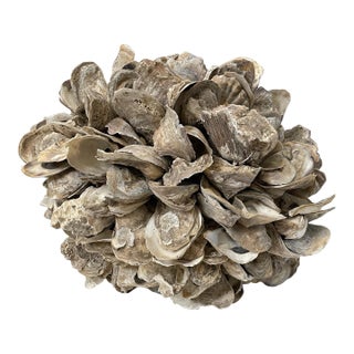 Vintage Oyster Shell Sculpture Centerpiece Art Large 12” Coastal Nautical Decor For Sale