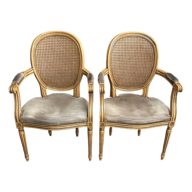 Pair Fratelli Boffi Italy ~ Louis XVI Cane Back Arm Chairs For Sale