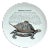 Piero Fornasetti Fleming Joffe Porcelain Plate-Tortoise Risotto For Sale