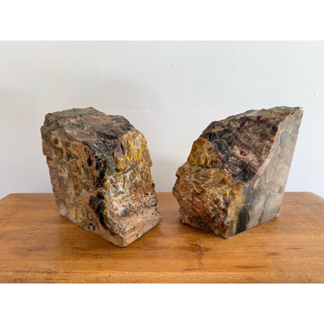 Large Petrified Wood Stone Bookends For Sale - Image 4 of 6
