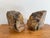 Large Petrified Wood Stone Bookends For Sale - Image 4 of 6
