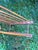 Vintage Wood Plate Rack For Sale - Image 9 of 17