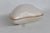 Coastal Lenox China Seashell Trinket Dish Lidded Porcelain Box With 24k Gold Trim 4917b For Sale - Image 3 of 16