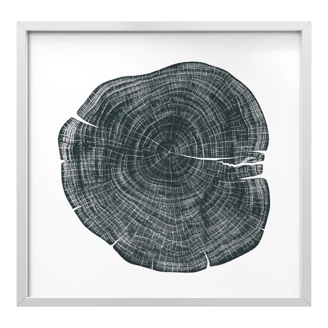 Stump 1 - Variation 1 by Trinette + Chris Print with White Frame - 36 X 36 For Sale