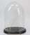 Napoleon III Glass Dome For Sale - Image 6 of 6