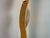 Wood Italian Sculptural Woven Cane Floor Lamp, 1980s For Sale - Image 7 of 13