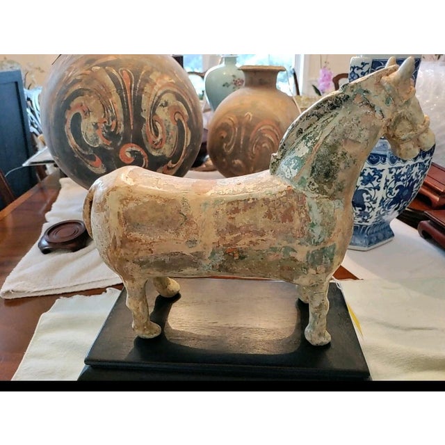 A Fine Collection of Chinese 7thC AD Tang Sancai Pottery Statue Horse. A Fine Chinese very early 7thC AD Tang Dynasty Tang...