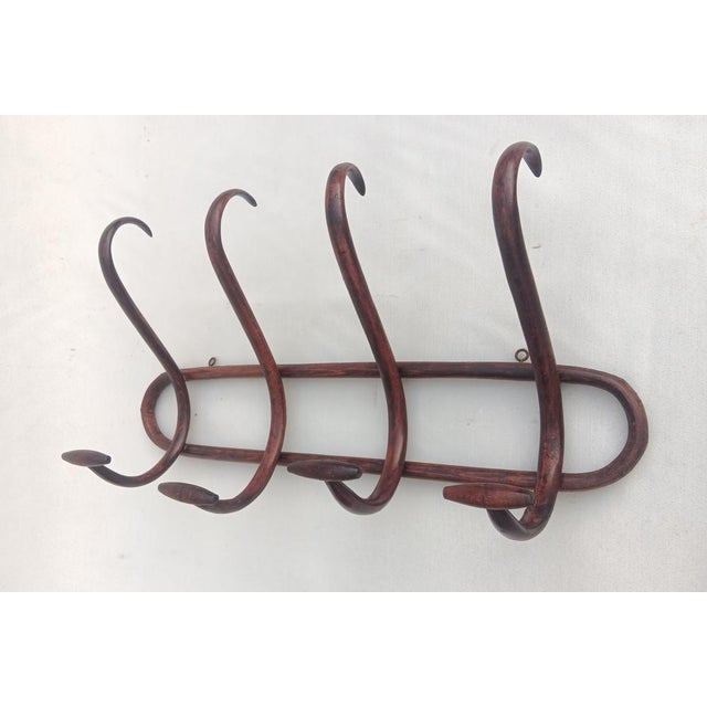 Vintage Bentwood Wall Coat Rack, 1950s For Sale - Image 4 of 6