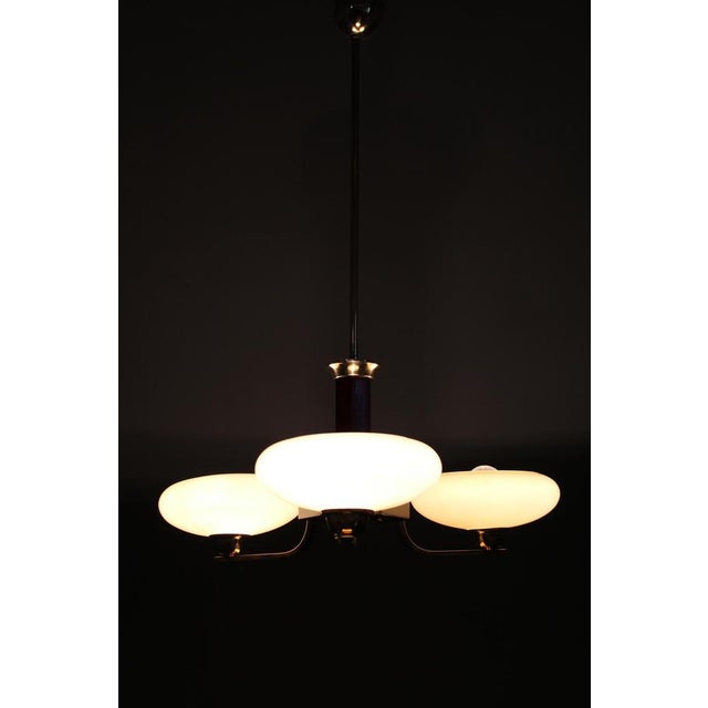 Art Deco Brass, Glass, and Wood Chandelier with Champagne Glass, Czechoslovakia, 1930s For Sale - Image 11 of 12