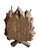 1930s Roe Deer Trophy 183 Black Forest Antlers Mount For Sale - Image 5 of 5