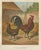 Foerster, The Golden Spangled Hamburg Chicken, Lithograph, 1888 For Sale - Image 6 of 10