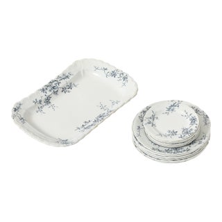 Late 19th Century Set of Antique Ironstone China, Albany Pattern For Sale