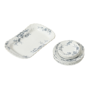 Late 19th Century Set of Antique Ironstone China, Albany Pattern