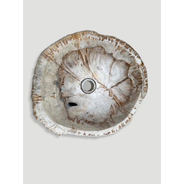 Andrianna Shamaris Petrified Wood Sink For Sale In New York - Image 6 of 6