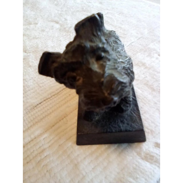 Early 20th Century Early 20th Century "Vintage Scottish Dog Sculpture" For Sale - Image 5 of 9