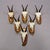 Vintage Set of Six Chamois Trophies on Wooden Plaques, Germany Ca. 1970s For Sale - Image 4 of 7