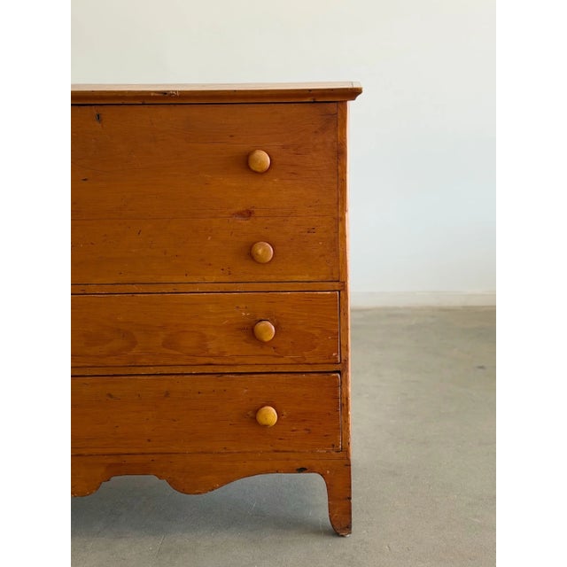 19th Century Mule Chest Dresser For Sale - Image 16 of 17