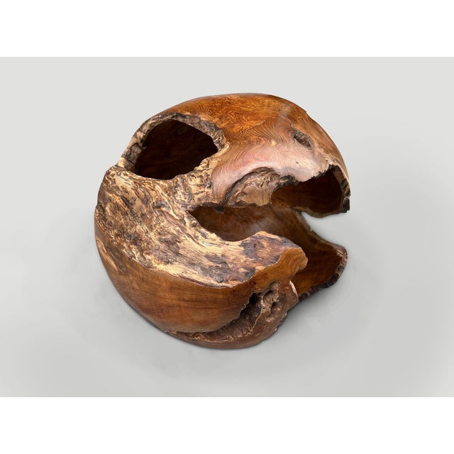 Andrianna Shamaris Hollowed Out Teak Wood Organic Sphere For Sale - Image 11 of 18